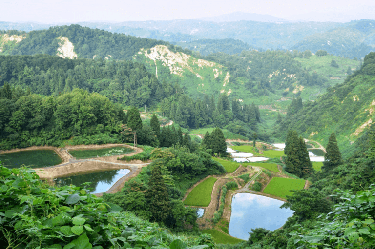 Yusmarg